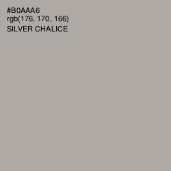 #B0AAA6 - Silver Chalice Color Image